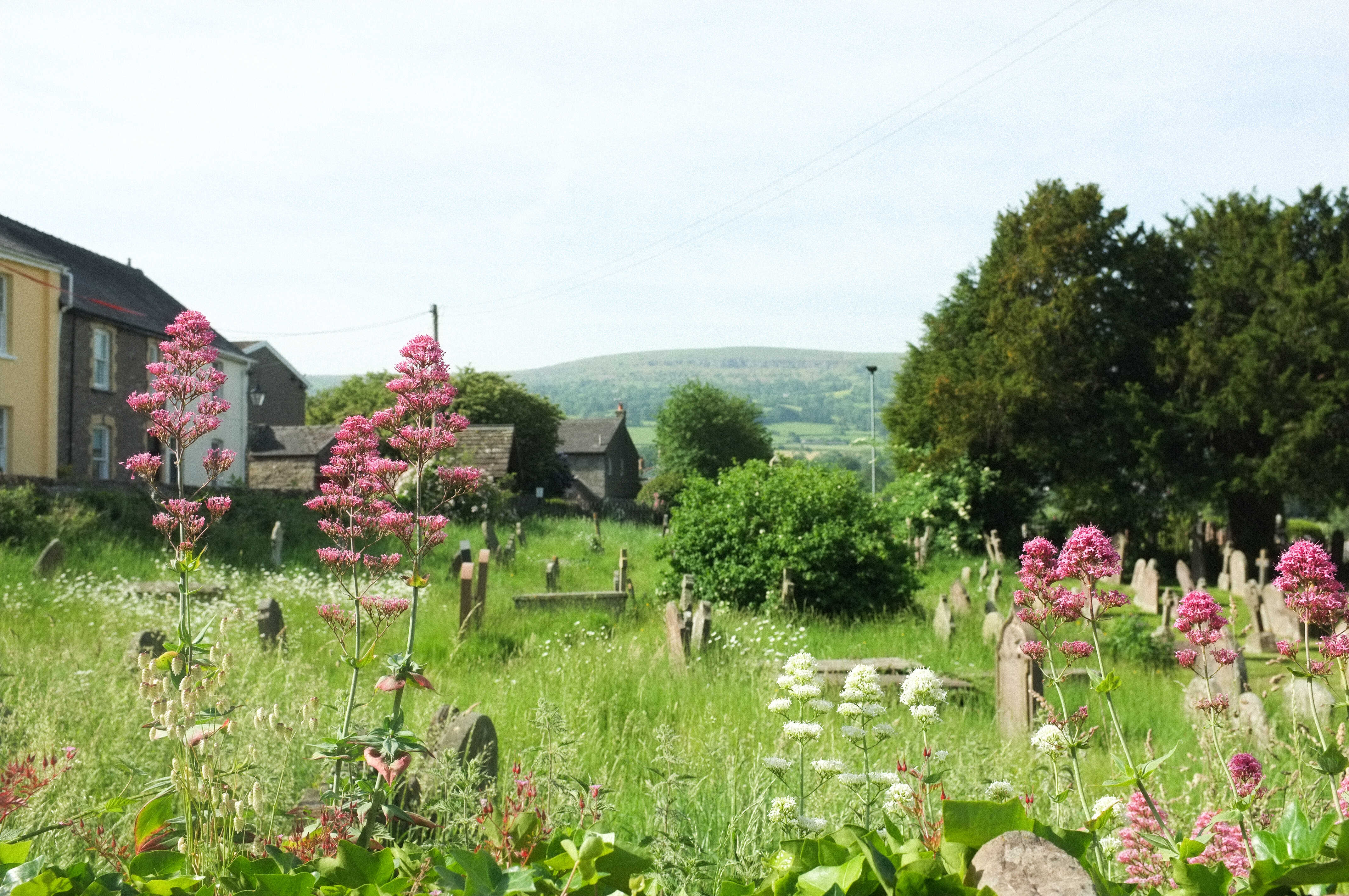 2026_wales/2026_wales_00011.jpg